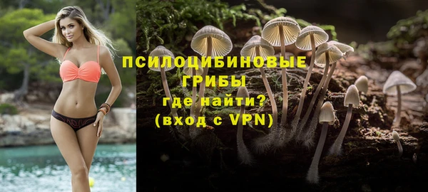 шишки Алексин
