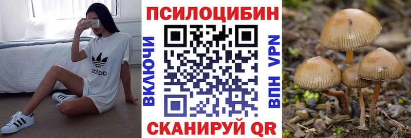 Псилоцибиновые грибы прущие грибы  цена наркотик  гидра сайт  Орлов 